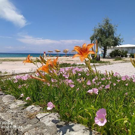 Aparthotel Hause Zorbas Paralia Dionisiou Exterior foto