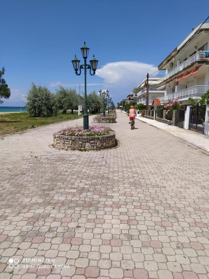 Aparthotel Hause Zorbas Paralia Dionisiou Exterior foto