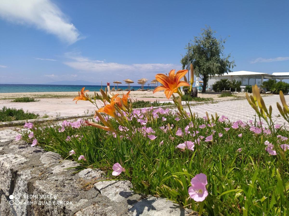 Aparthotel Hause Zorbas Paralia Dionisiou Exterior foto