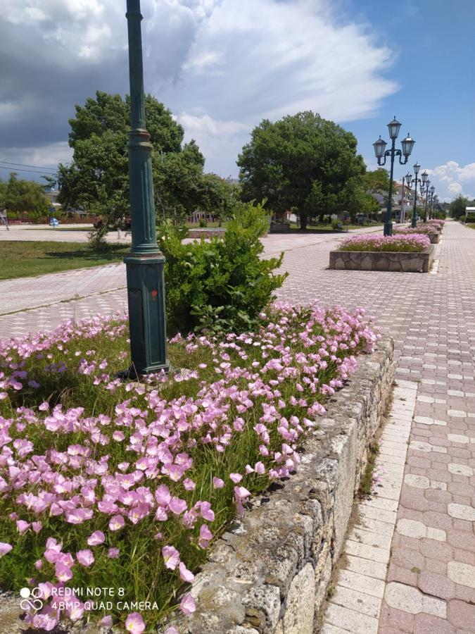 Aparthotel Hause Zorbas Paralia Dionisiou Exterior foto